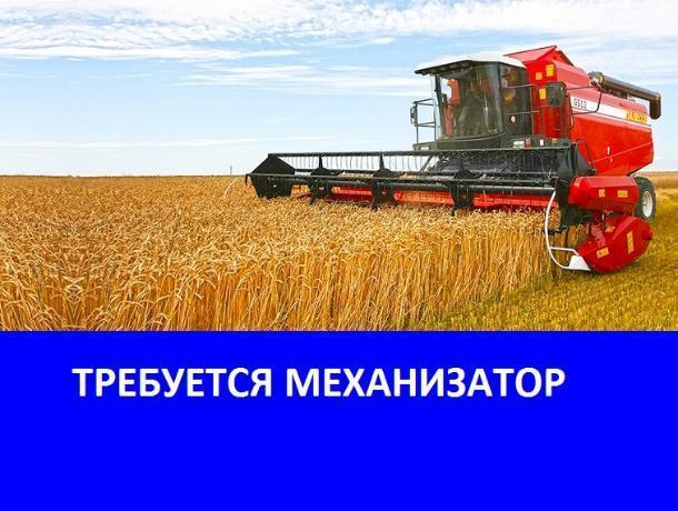 Требуются механизаторы в ЗАО «Вишневское» Требуются механизаторы в ЗАО «Вишневское»