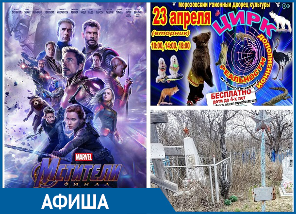 Долгожданная премьера современного циркового спектакля в Морозовске состоится уже сегодня Долгожданная премьера современного циркового спектакля в Морозовске состоится уже сегодня