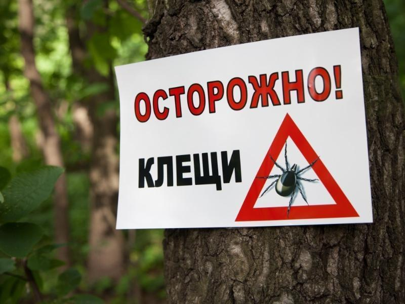 За медицинской помощью по поводу укуса клещами в Ростовской обратилось 2944 человека За медицинской помощью по поводу укуса клещами в Ростовской обратилось 2944 человека