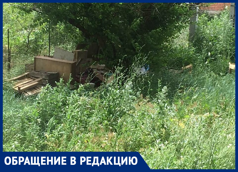 Трава с рост человека и свалка, - морозовчанка об улице Кирова Трава с рост человека и свалка, - морозовчанка об улице Кирова