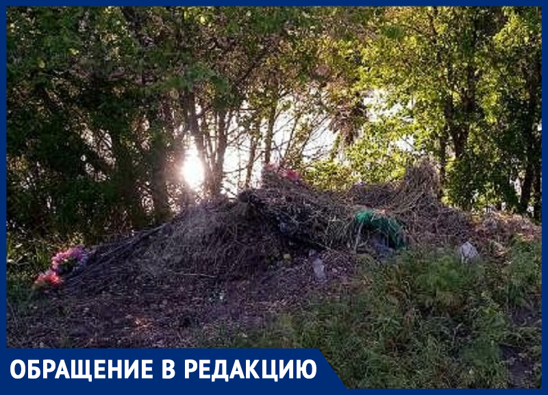 Скоро сомы будут с венками на шее плавать! - житель хутора Новопроциков Скоро сомы будут с венками на шее плавать! - житель хутора Новопроциков