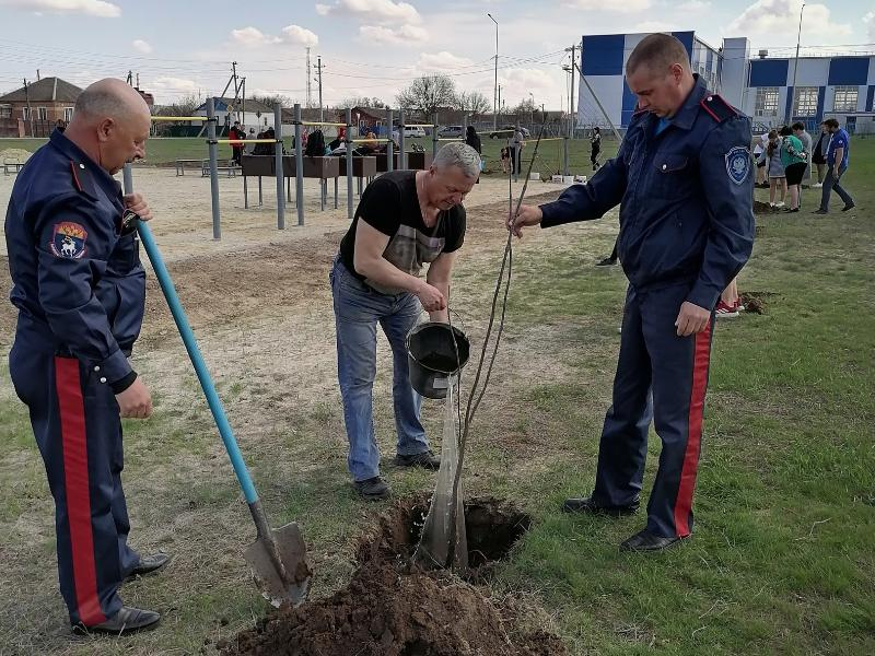 Более 60 саженцев молодых деревьев высадили казаки Морозовского юрта в рамках акции «Сад памяти» Более 60 саженцев молодых деревьев высадили казаки Морозовского юрта в рамках акции «Сад памяти»