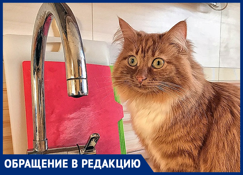 Воды нет ни летом, ни зимой! - житель хутора Вишневка Воды нет ни летом, ни зимой! - житель хутора Вишневка