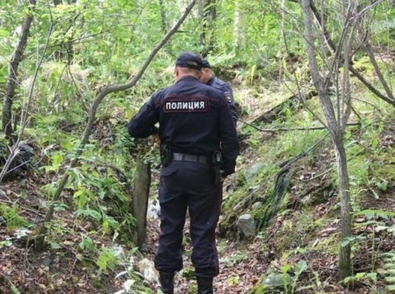 Тело пропавшего без вести пасечника обнаружили в лесополосе под Морозовском Тело пропавшего без вести пасечника обнаружили в лесополосе под Морозовском
