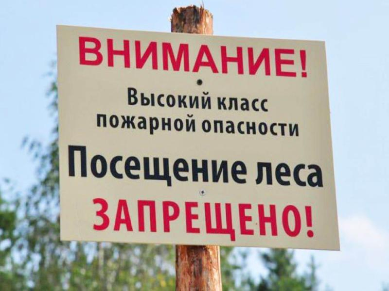 Запрет на посещение донских лесов продлили до 12 октября Запрет на посещение донских лесов продлили до 12 октября