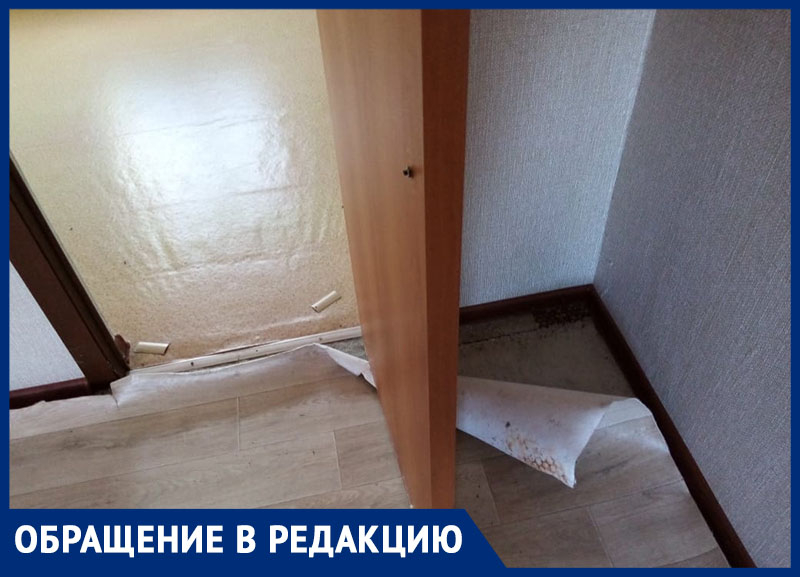 Сироте в Морозовске выдали квартиру с провалившимся входом, старой ванной и отстающим от пола линолеумом Сироте в Морозовске выдали квартиру с провалившимся входом, старой ванной и отстающим от пола линолеумом