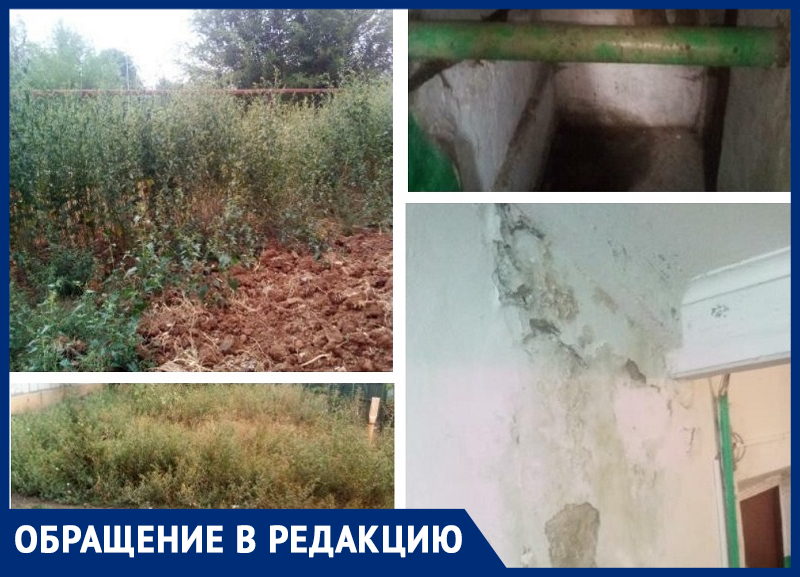 Не хочешь работать - уходи! - морозовчанка возмутилась бездействием управляющей компании ЖКХ Не хочешь работать - уходи! - морозовчанка возмутилась бездействием управляющей компании ЖКХ
