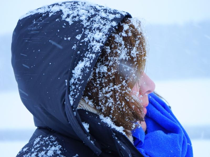 Настоящая метель разыграется в Морозовском районе 12 февраля Настоящая метель разыграется в Морозовском районе 12 февраля