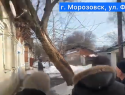 Старый дом на улице Филонова с упавшим на него деревом и текущей крышей показали депутату Заксобрания Ростовской области