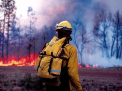 Спасатели предупредили морозовчан о высокой вероятности возникновения ландшафтных пожаров