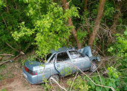 Автомобиль с двумя трехлетними пассажирами в хуторе Парамонов врезался в дерево