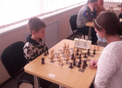 Морозовчане достойно представили свой район на шахматном турнире в Белой Калитве