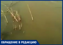 Река Быстрая опять грязная и воняет, - председатель СНТ "Заря" снял новое видео