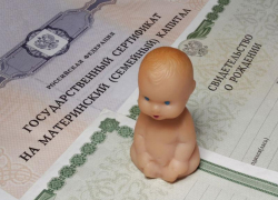 Для продления выплат из средств маткапитала донским семьям вновь нужно подтверждать доходы и подавать заявление