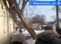Старый дом на улице Филонова с упавшим на него деревом и текущей крышей показали депутату Заксобрания Ростовской области