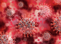 Пятерых новых инфицированных коронавирусом за сутки зарегистрировали в Морозовском районе