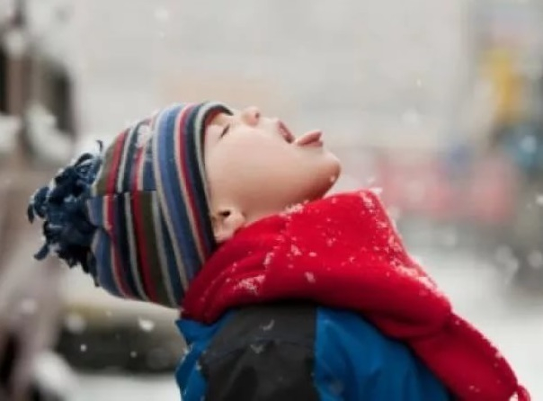 11 января в Морозовске пообещали морозную и почти безветренную погоду