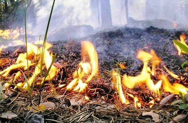 Морозовчан предупредили о высоком риске пожаров