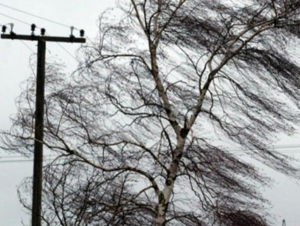 Сильный ветер пообещали синоптики морозовчанам 8 февраля