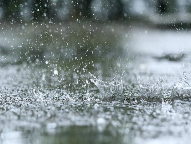 Дождь в феврале: погода в Морозовске опять начудит