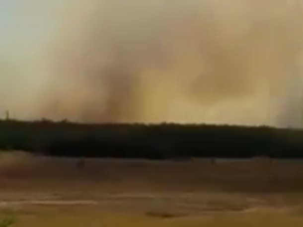 Огонь добрался до молодого леса возле хутора Грузинов
