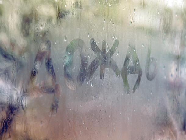 Станет прохладнее: 19 апреля синоптики пообещали морозовчанам дожди