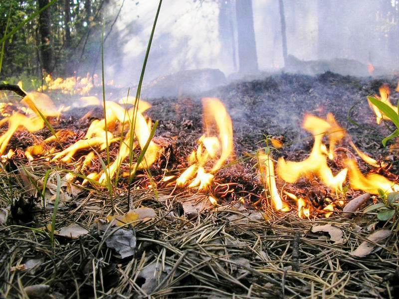Слишком жаркие выходные грозят Морозовску пожарами