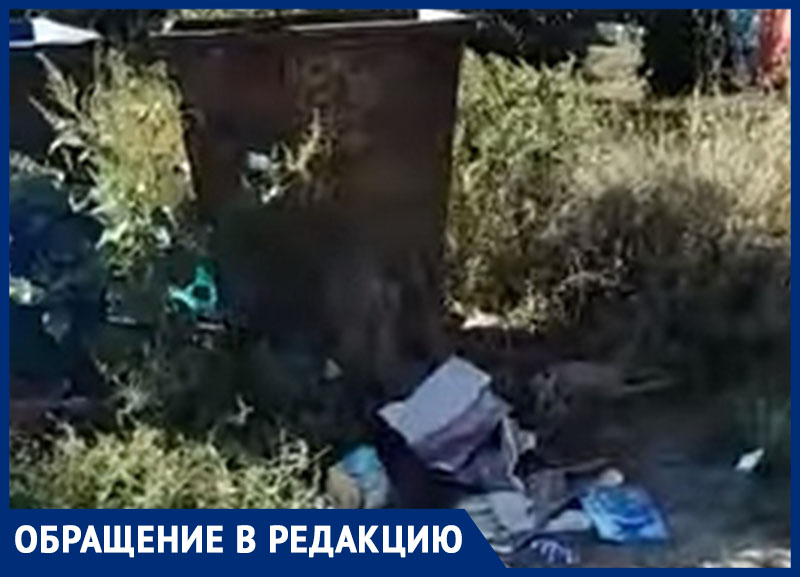 Из бака мусор вывезли, а всё вокруг оставили: жительница хутора Грузинов пожаловалась на водителя мусоровоза