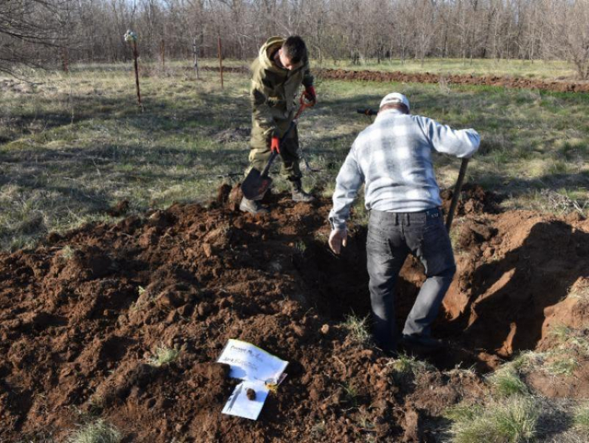 Морозовск сегодня блокнот последние. Поисковое место бойцов под Ленинградом.